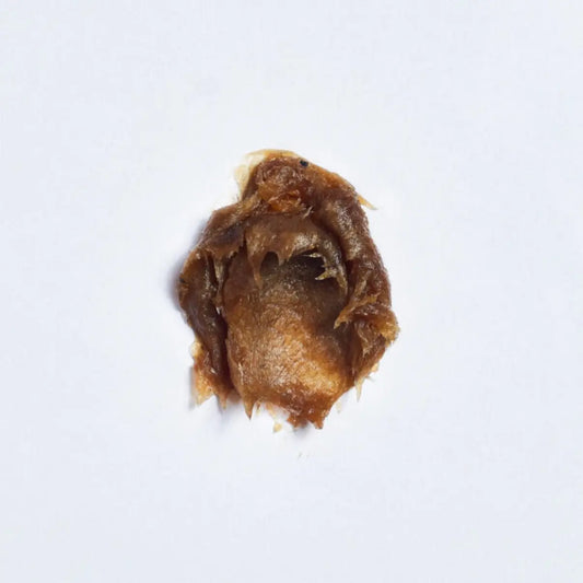 SAVON NOIR NIGÉRIEN ZURI Zuri Elements